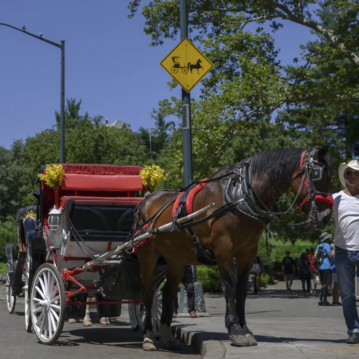 Kitiltják a lovaskocsikat New York utcáiról