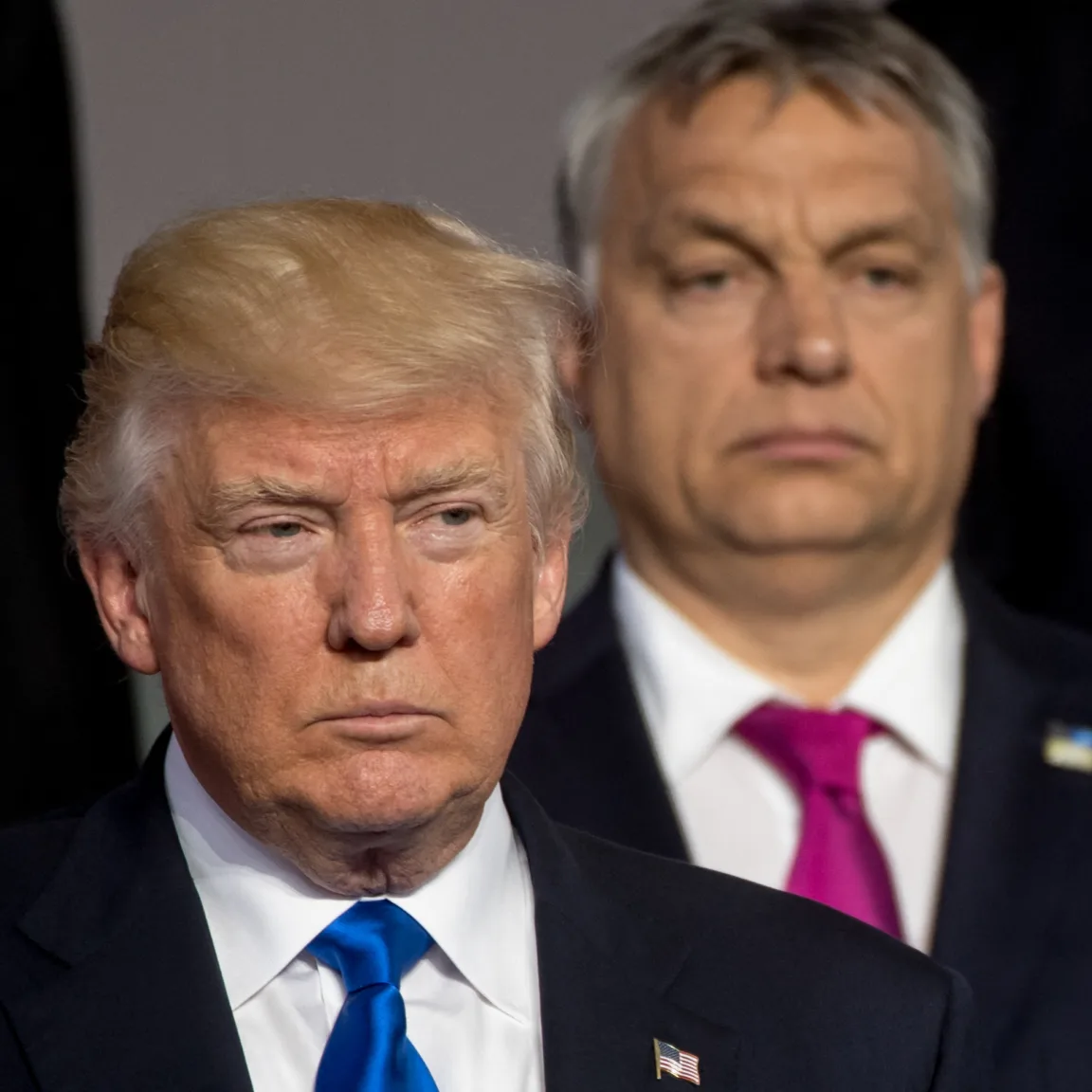 Hegedűs Dániel: Orbán Viktor esetleges jelölése provokáció