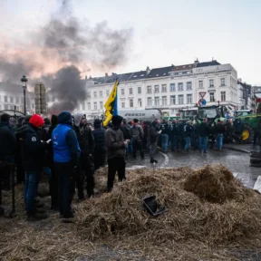 Megállapodás körvonalazódik a vitatott uniós agrárpolitikáról