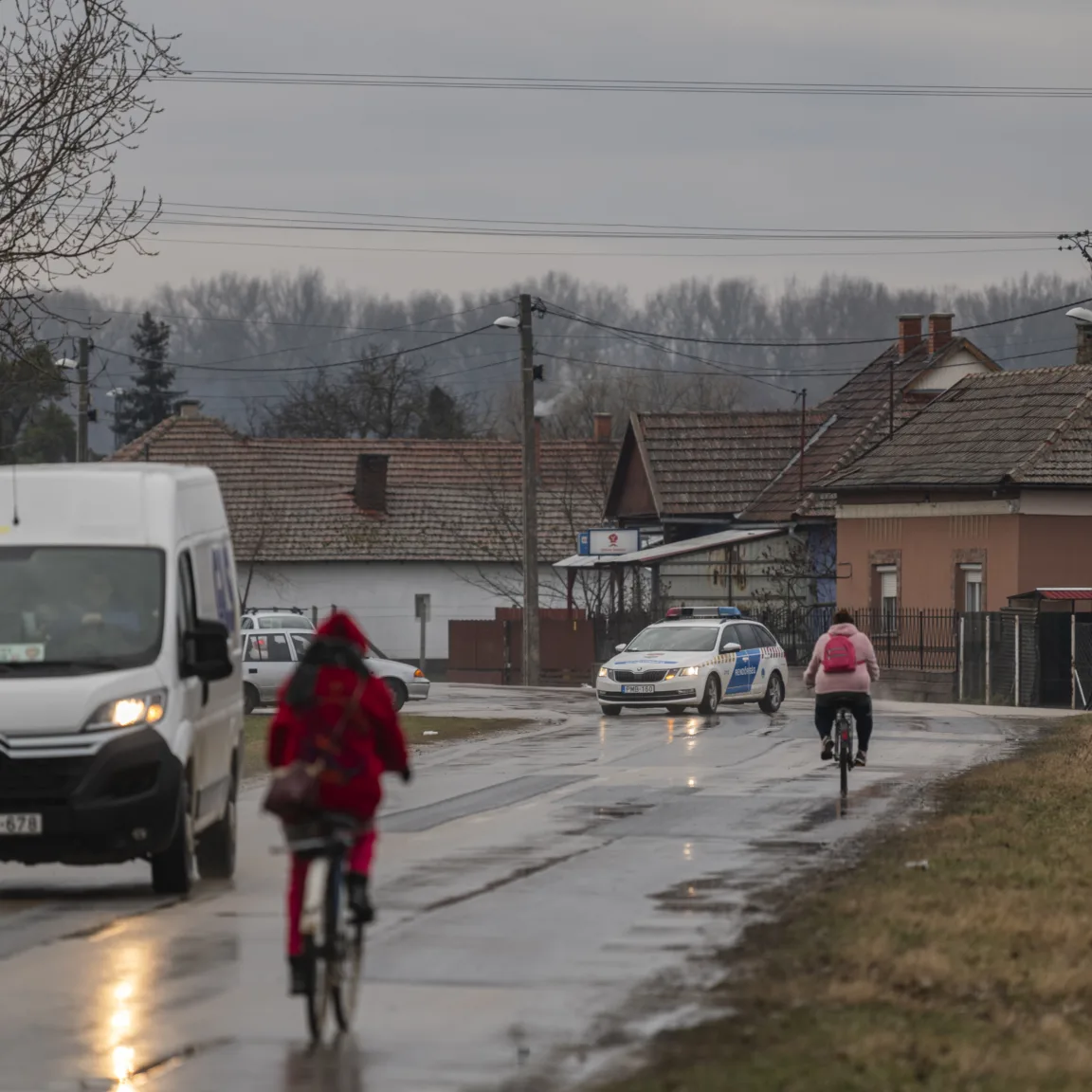 Több tucat kóbor kutya él a tiszaburai utcákon, a helyiek a jegyző segítségét kérik