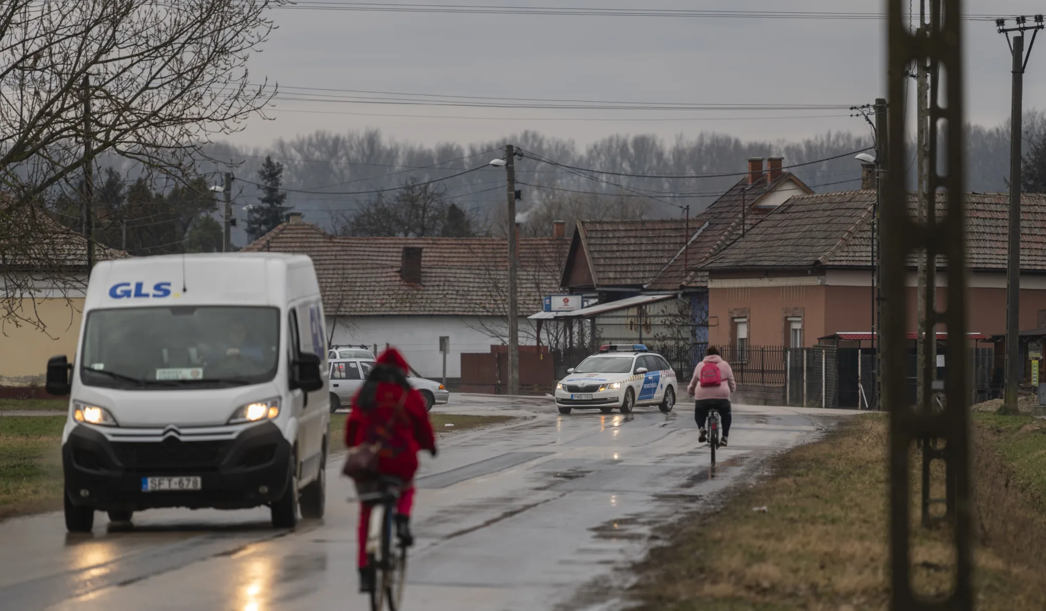 Több tucat kóbor kutya él a tiszaburai utcákon, a helyiek a jegyző segítségét kérik