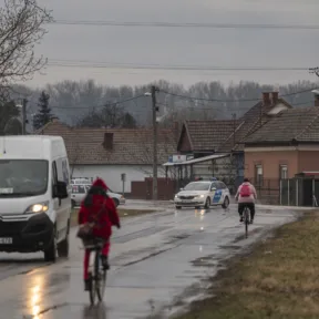 Több tucat kóbor kutya él a tiszaburai utcákon, a helyiek a jegyző segítségét kérik