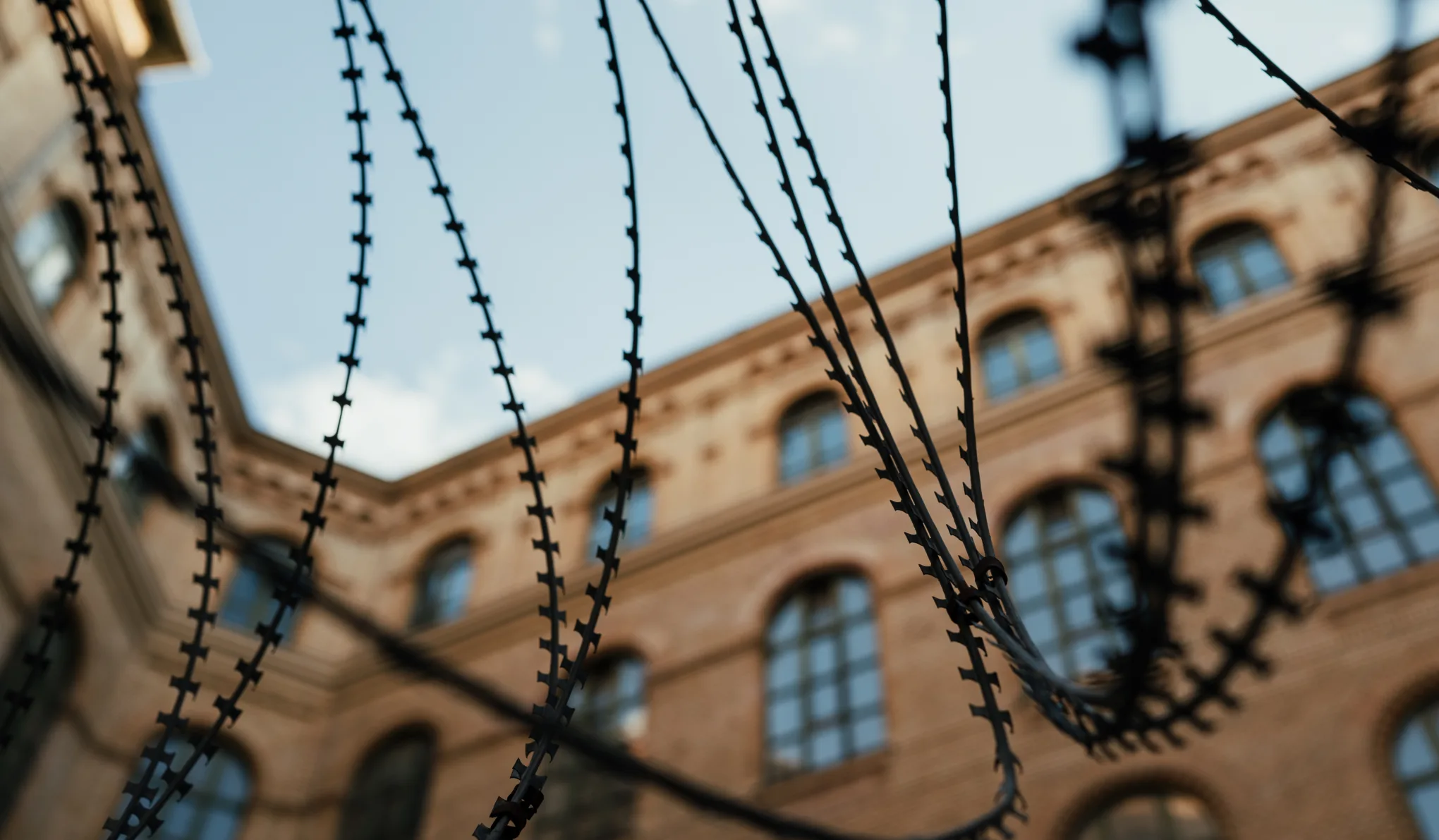 Letöltendő börtönt kapott egy férfi, aki éheztette a kutyáit