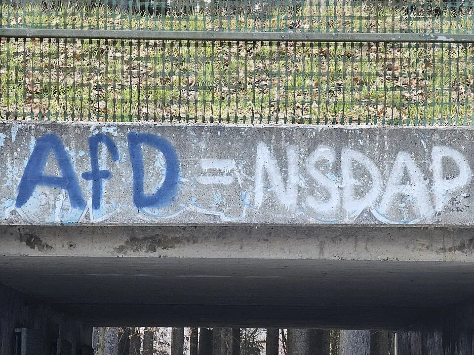 Az euró már az AfD-t is megosztja: a kormányképesség ára a tét