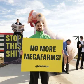 „Állítsátok meg ezt a szart!” – A magyar határnál épült horvát csirkefarm miatt akciózott a Greenpeace