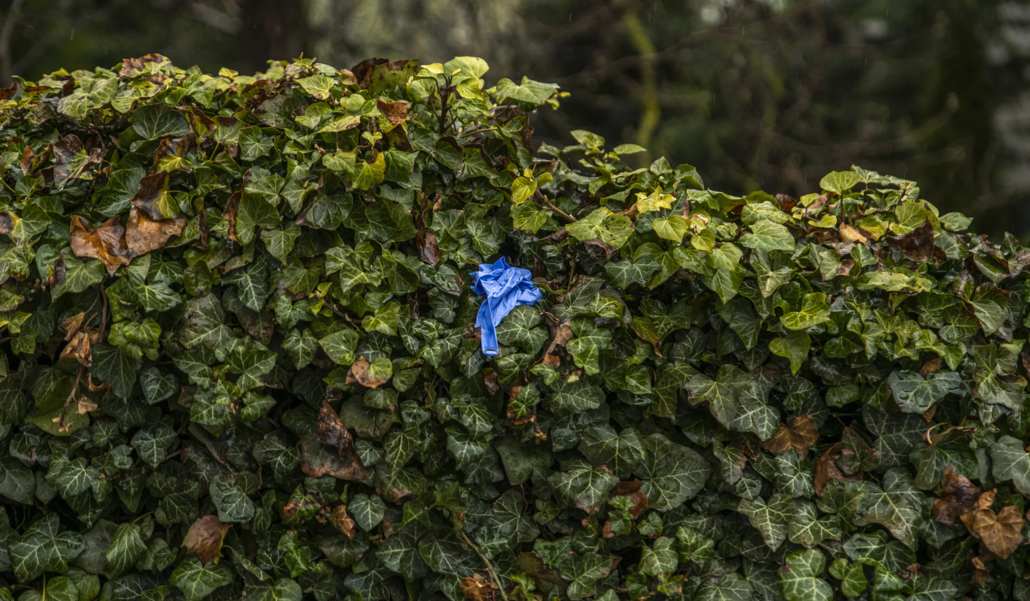 Halálra vert nő holttestét találták meg Kecskeméten