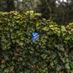 Halálra vert nő holttestét találták meg Kecskeméten
