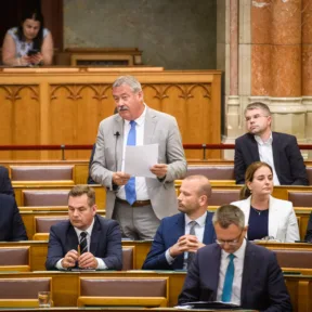 Több mint egymilliárd forint állami támogatást kapott öt év alatt a V. Németh Zsolthoz köthető alapítvány